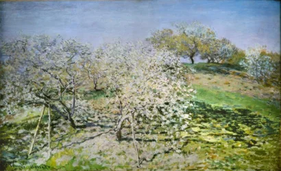Spring. Apple Trees in Bloom